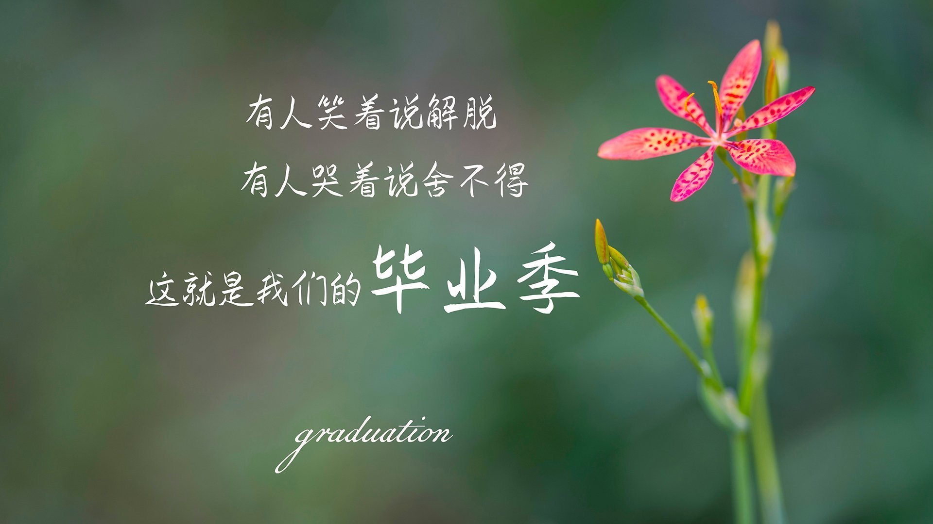 农业生产经营的主体是哪些(农业生产经营单位包括哪些)
